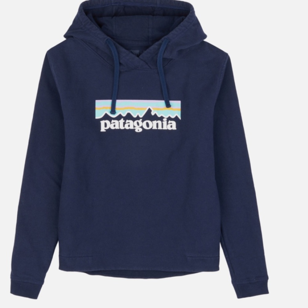 Patagonia Hoodie